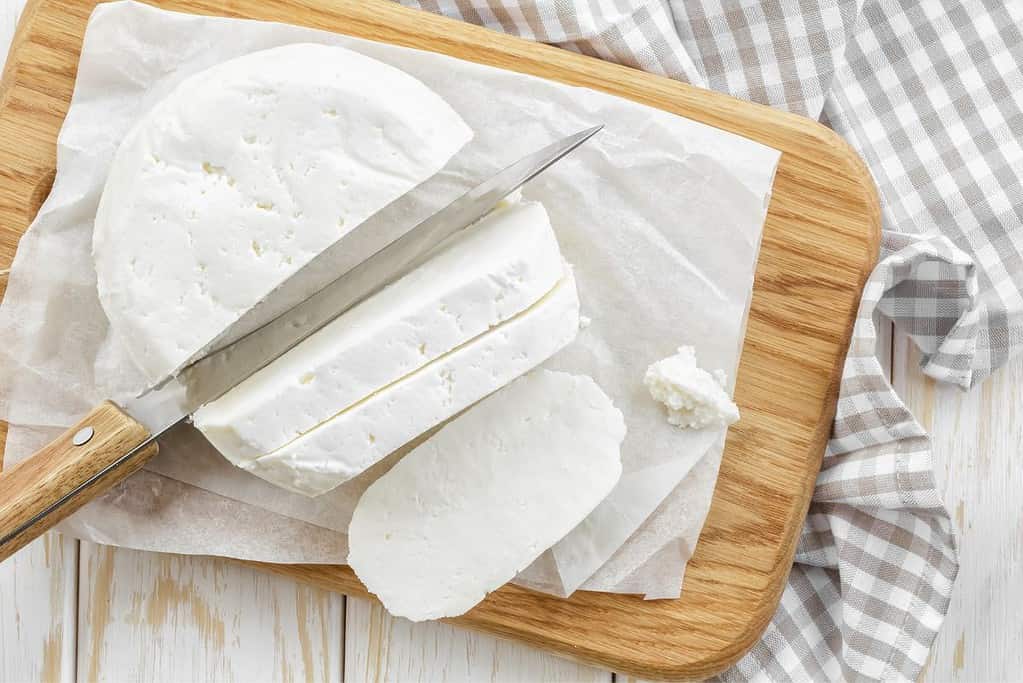 How Long Can Cheese Sit Out? Your Cheese Friend