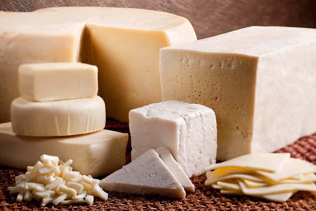 Is Cheese Gluten Free?